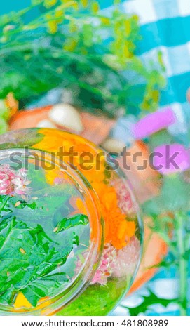 Cucumbers with herbs and spices for pickling in glass jar
