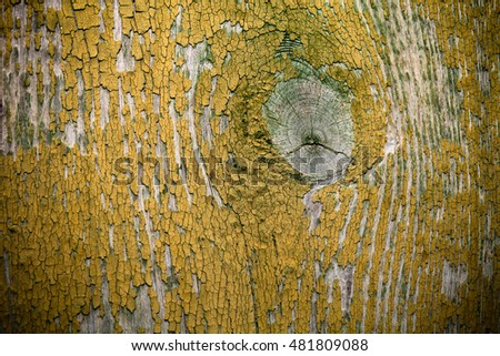 Old wooden planks with peeling paint like background. Toned.