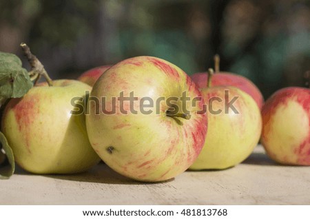 Organic apples closeup on green blurry background. Autumn harvest apples.