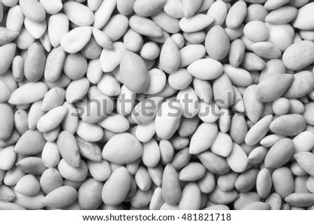 Colored sunflower seeds as texture for background. Toned.