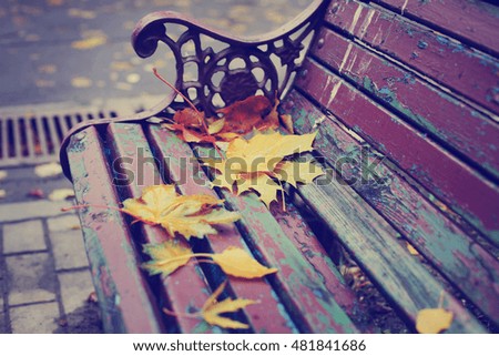 Bench with fallen leaves in autumn park