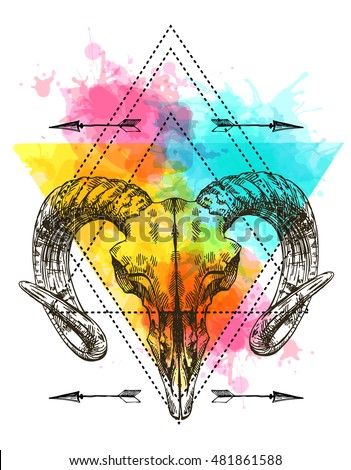 Vector sketch illustration  animal skull. Drawing by hand. Boho style. Use for posters, postcards, print for t-shirt, tattoo.