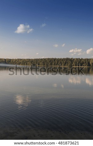 Day landscape with a lake, forest, pine trees, trees and blue sky