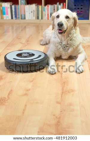 Golden Retriever dog is lying next to the robotic vacuum cleaner on the floor. All potential trademarks and control buttons are removed. Free space for your text in the bottom of the photo.
