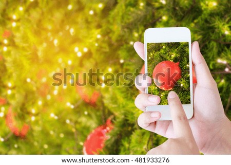 taking picture of christmas decorations on the branches of fir tree