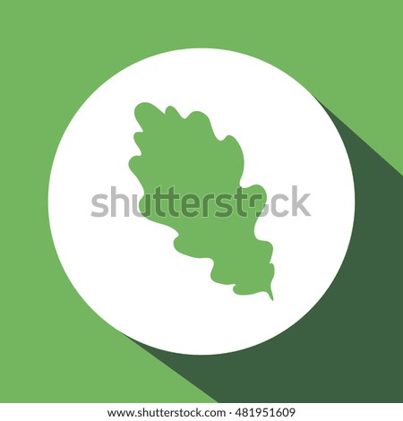 leaf icon. leaf design