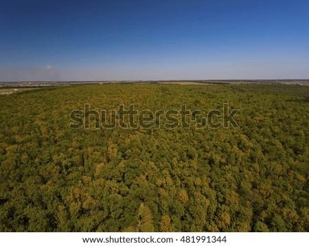 Aerial view of autumn forest. Stock Image.