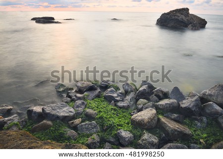 Beautiful sunrise (sunset) on the coast. Stones and green algae between them on the beach, removed a long shutter speed, the effect of haze, mist on the water between rocks. natural calm seascape.
