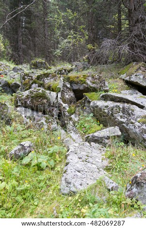 boulders covered with moss in the forest