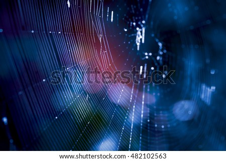 beauty design spider web spiderweb blue macro background cobweb technology hacker - stock image
