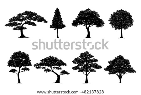 silhouette tree.Vector in silhouettes set