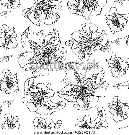 Petunia. Floral vector seamless pattern. Black and white graphics, hand-drawing. A stylized image of the flowers.Template for printing on fabric, textile, wrapping paper.