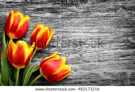 beautiful bouquet of yellow tulips wooden background, place for text.black and white wooden background.