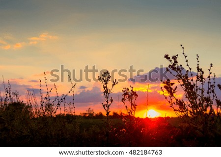landscape photography sunset over the field untouched. beautiful screen saver or the background