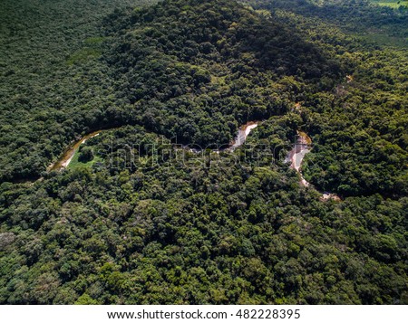 Top View of River in Rainforest, Brazil