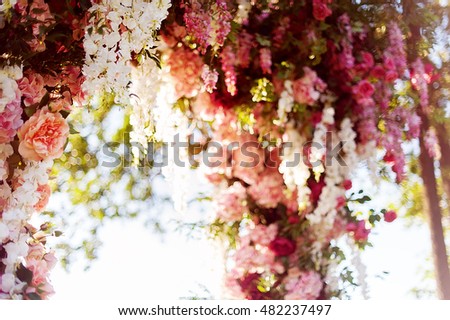 wedding arch decorated with flowers. picture with soft focus