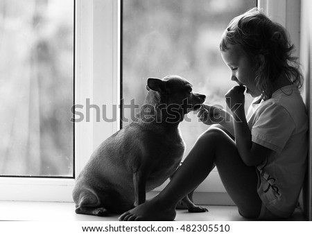 girl feeding dog Royalty-Free Stock Photo #482305510