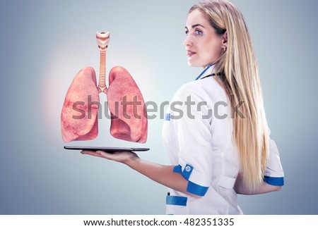 Doctor holding human organs ( lungs) and tablet , gray background. High resolution.