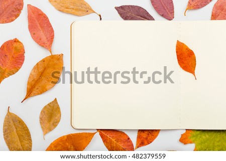 Colorful autumn leaves with open notebook on white background. flat lay, overhead view