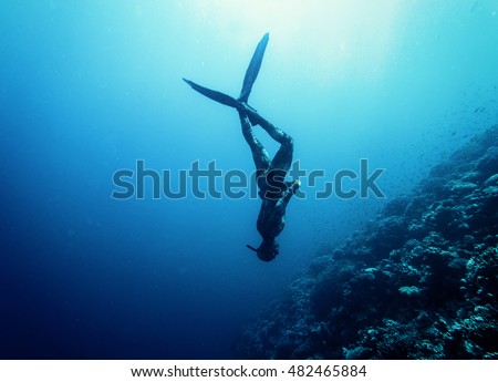 Freediver in wetsuit neoprene swim in the sea Royalty-Free Stock Photo #482465884