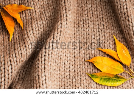 Abstract background of autumn leaves on fabric. Autumn fabric texture.