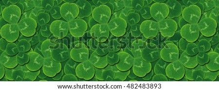 Cover pattern leaves clover trefoil shamrock. Green clover, the symbol of the holiday St. patrick's day. Template website.