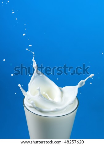 pouring milk in a glass isolated against blue background
