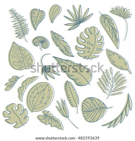 Set of hand drawn tropical leaves. Isolted on white vector icons.  Clip art for design.