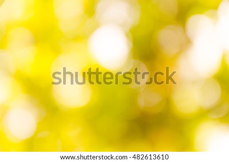 Abstract spring background. Green natural background of out of focus forest or bokeh.