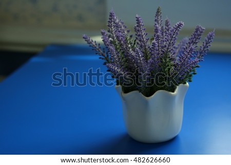 Purple Flowers on the table