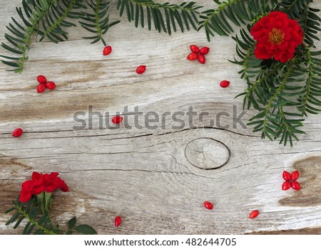 Natural fall or winter rustic background with branch of green needles, red roses flowers and ornaments from berries on a wooden board.  Winter frame or border with nature green and red decorations.