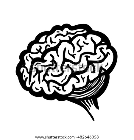 Painted brain, vector illustration