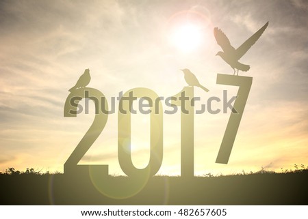 Silhouette bird flying on sunset. Concept new year