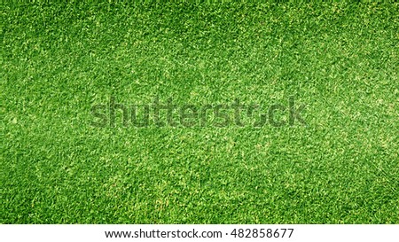Golf Courses green lawn pattern textured Green grass background