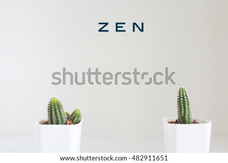 Zen on cactus background - soft light vintage filter effect