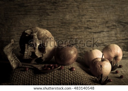 Still life photography with old skull and rotten apples