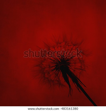 Dandelion silhouette on red canvas textured background. Wall art floral design.