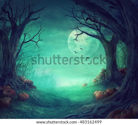 Halloween background. Spooky forest with dead trees and pumpkins.Halloween design with pumpkins
