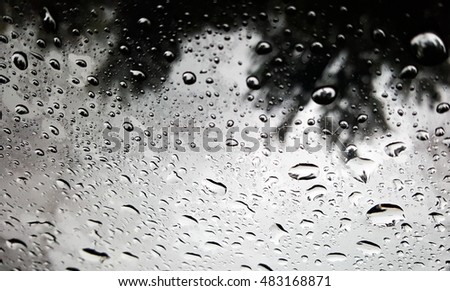 rain drops on glass see tree background