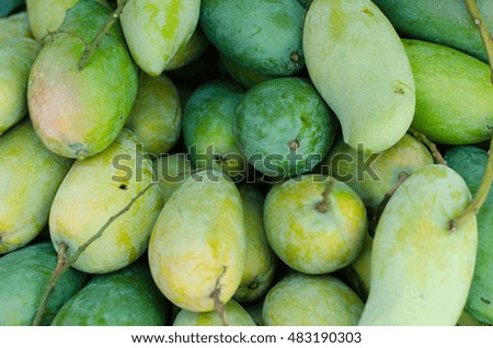 many raw mangos