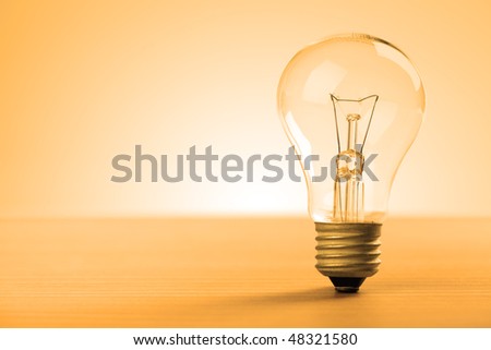 the light bulb