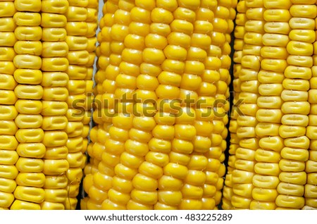 Fresh Corn. Small Depth Of Field. Macro.