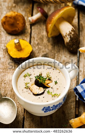 forest mushrooms cream soup. style rustic. selective focus