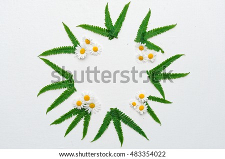 Wreath of chamomile and leaves of green fern on white background. Flat lay.