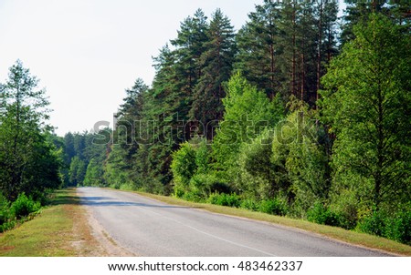 Asphalt road through the forest