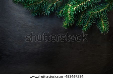 Fir tree Branches over black background with copy space / Christmas or New Year Card