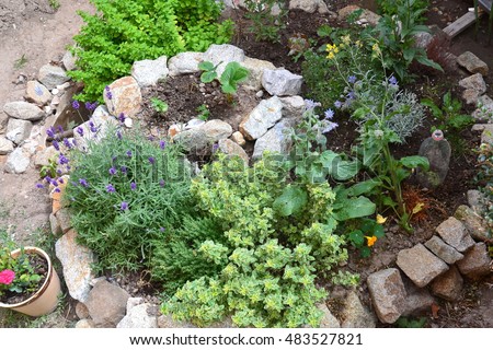 Permaculture element: Herb spiral Royalty-Free Stock Photo #483527821