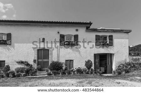 Windows and doors in an old house decorated with flower pots and flowers  . Black and white photography.