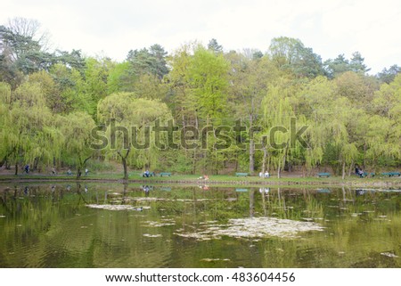 Spring Park. Lake in the spring park. Spring landscape.