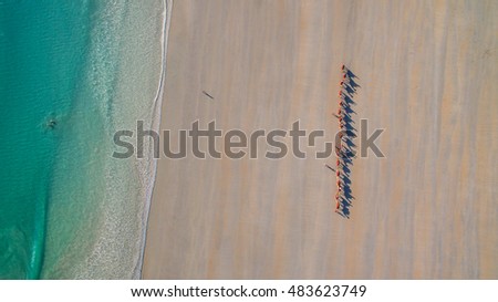 Camels at Cable Beach, Broome, Western Australia. Royalty-Free Stock Photo #483623749